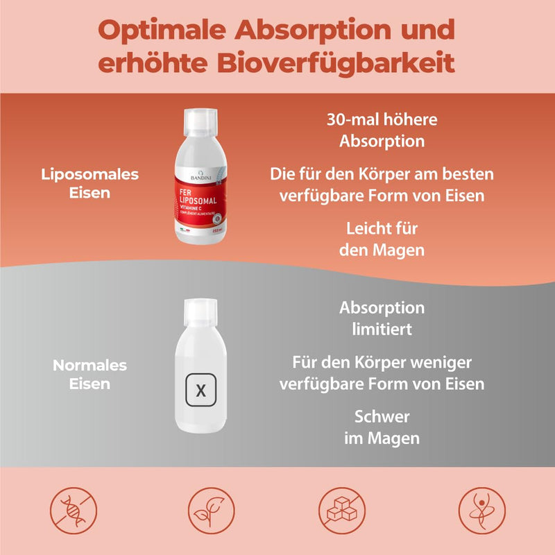 [Australia] - Bandini® Liposomal Iron + Vitamin C | 250ml liquid format, 10ml daily dose for 25 days | 20mg iron + 100mg Vit C per daily dose | Highly dosed, laboratory tested, vegan, without additives | With measuring cap 