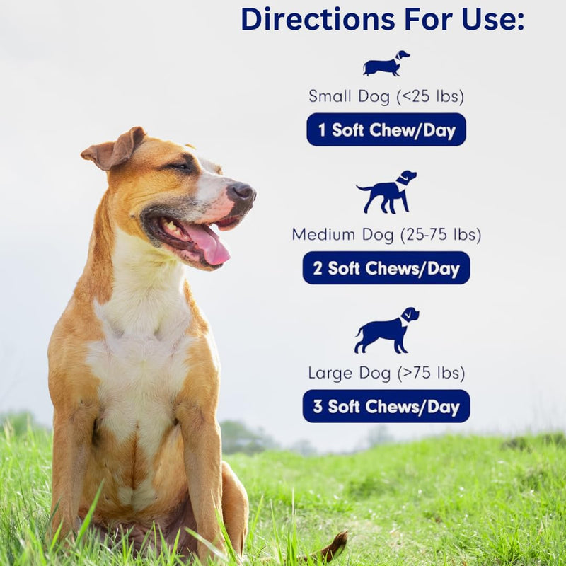 Dogs Immune Support Mushroom Supplement - Supports Longevity, Cognition, Joint, Cellular & Gut Health - All Natural Organic, GrainFree - Buddy Guard for Lumps and Bumps, Chicken Flavor - 90 Chews - PawsPlanet Australia