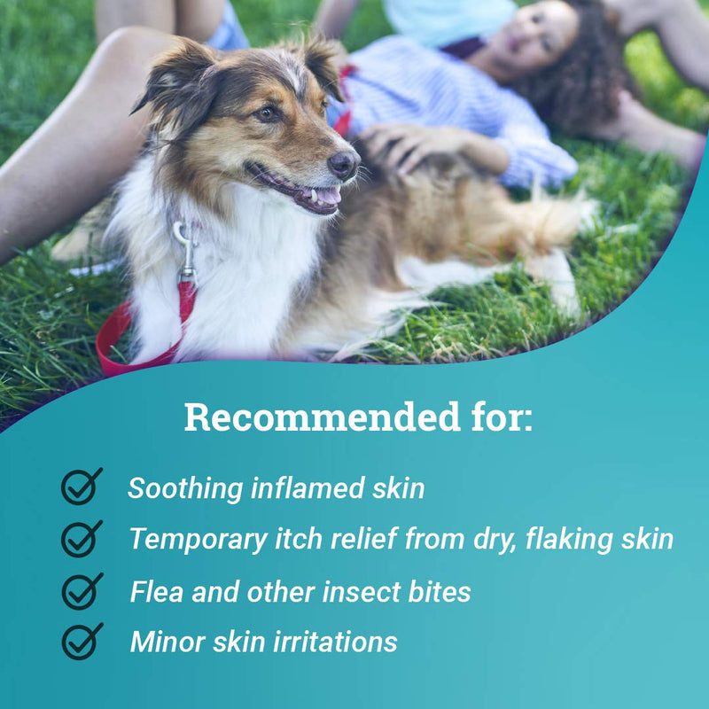 Relief Spray, Temporary Relief of itching and flaking, for Dogs, Cats and Horses, 8 oz (Pack of 2) Pack of 2 - PawsPlanet Australia