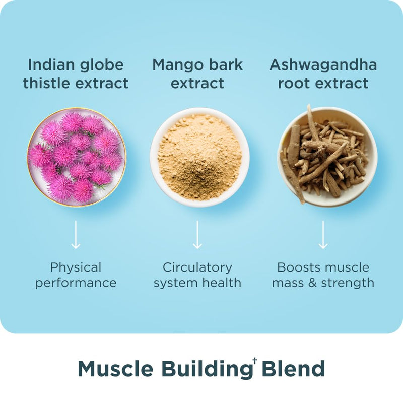 Ancient Nutrition Advanced Multi Collagen Protein Capsules Muscle, 90 Count | Women & Men, Vitamin C, Probiotics, Grass-fed Hydrolyzed Collagen, Supports Skin, Hair, Nails, Joints, Gut Health, 90 Count