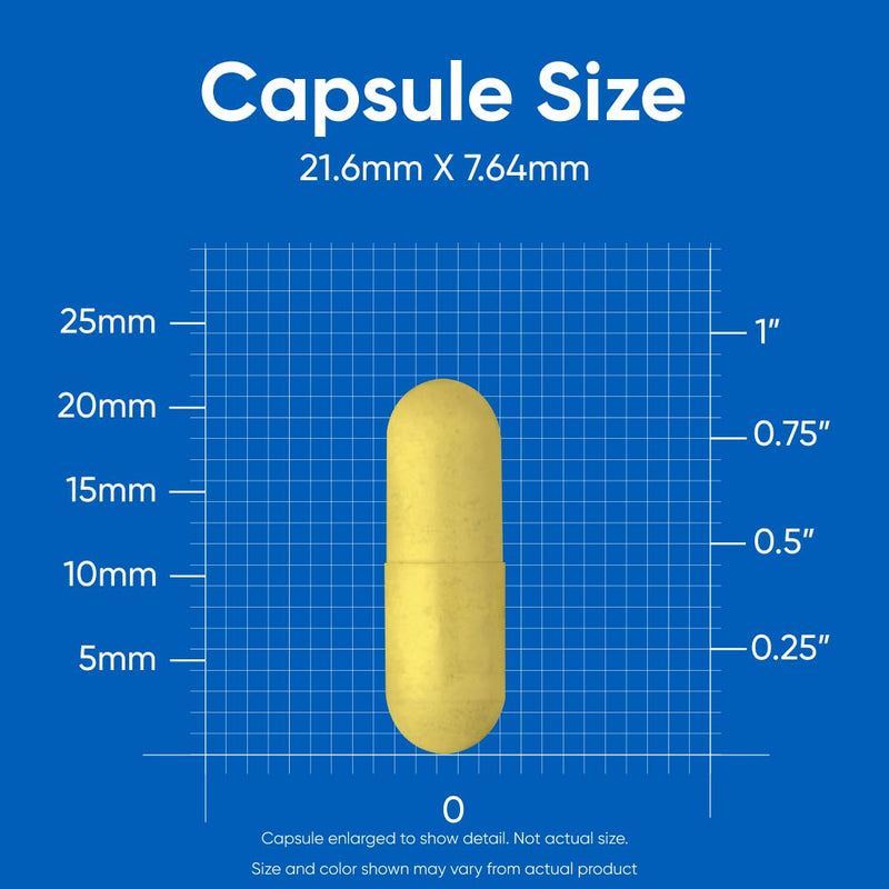 [Australia] - Nutricost High Potency Vitamin B Complex 462mg, 120 Capsules - with Vitamin C - Energy Complex 120 Count (Pack of 1) 
