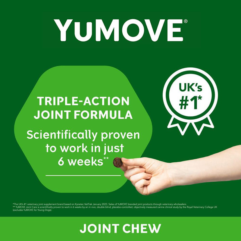 Lintbells YuMOVE Joint Supplement Dog Chews - Contains Glucosamine, Green Lipped Mussel - Natural Relief from Hip Ache, Stiff Joints - 1 Month’s Supply (Large & X-Large) Large & X-Large - PawsPlanet Australia