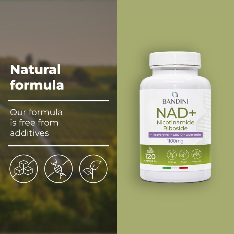 Bandini® Liposomal NAD+ 120 Vegan Capsules | NAD Supplement Nicotinamide Riboside Chloride + Quercetin, Resveratrol, Coenzyme Q10 | Cellular Energy & Healthy Aging Support, 1100mg per dose | Non-GMO