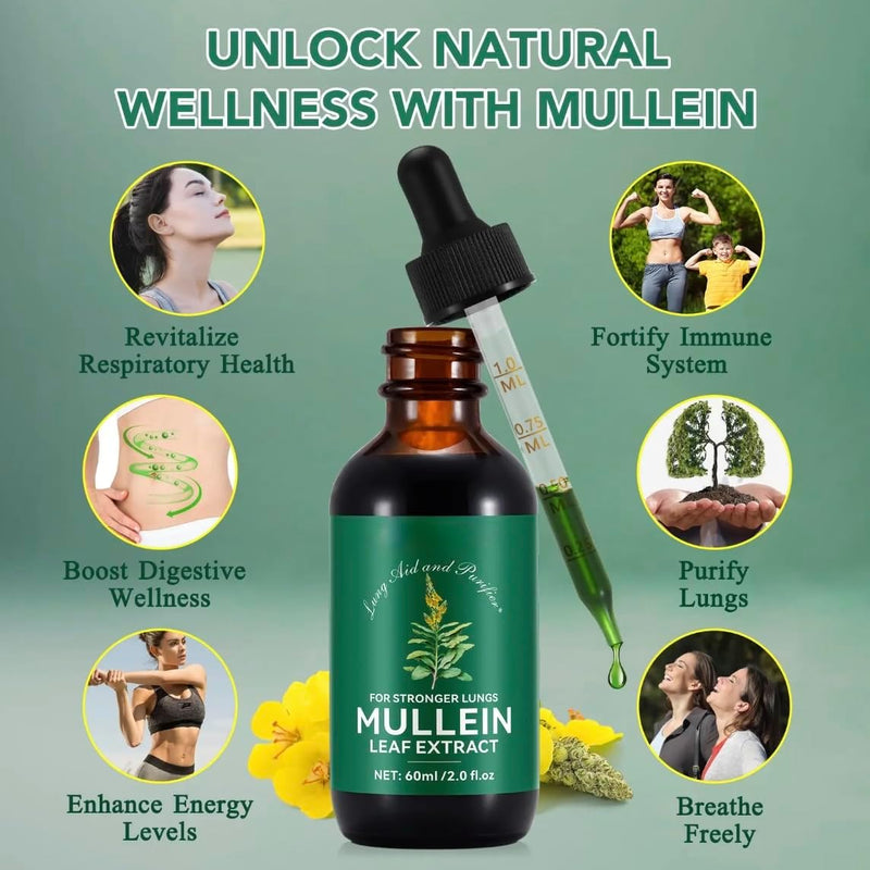 Mullein Drops for Lungs, Mullein Leaf Extract for Lungs, Natural Mullein Herbal Supplements, Mullein Chlorophyll Drops for Lungs, Lung Cleanse for Smokers - 2.02 fl oz 2.02 Fl.Oz (Pack of 1)