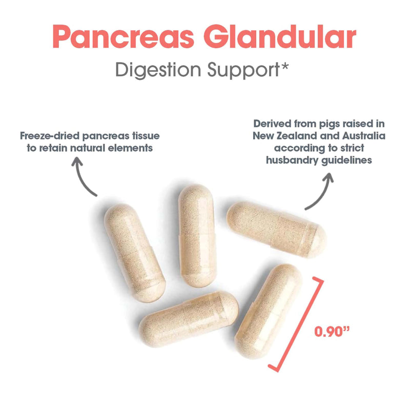 [Australia] - Allergy Research Group Pancreas Pork Supplement - Pancreas Natural Glandular, 425mg Pancreatic Enzymes, Digestive Enzymes Amylase, Protease - 60 Count 60 Count (Pack of 1) 