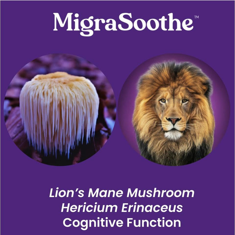 Migraine MigraSoothe Booster Series VII Lion's Mane 3000 Mg Migraine Nerve Recovery Repair Support UK Made and Allergen Free - 120 Capsules