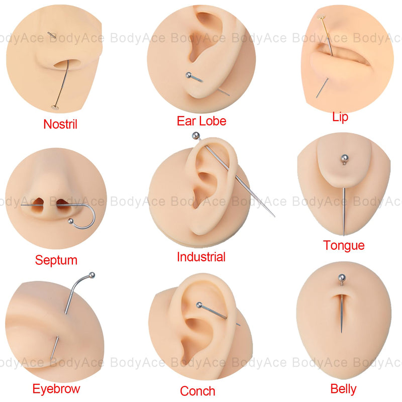 [Australia] - BodyAce 14G 16G 18G 20G Piercing Taper, Stainless Steel Threadless Insertion Pin Screw On Assistant Tool, Curved Body Piercing Stretching Kit for Ear/Nose/Navel/Lip/Eyebrow 16G(1.2mm) Mix 
