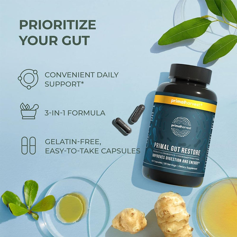 [Australia] - Primal Harvest Restore for Gut Health, Primal Gut Restore w/POSTbiotics, PREbiotics and PRObiotics for Women and Men, 60 CT - Digestion, Colon Cleanse, Immunity Support - Helps Leaky Gut Repair 60 Count (Pack of 1) 