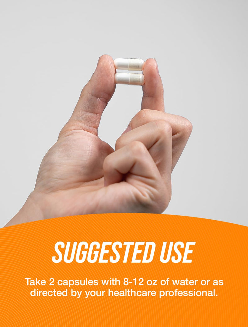 [Australia] - BulkSupplements.com Acetyl L-Carnitine Capsules - ALCAR HCl, Carnitine Supplement - ALCAR Capsules, Acetyl L-Carnitine 1500mg - Gluten Free, 2 Capsules per Serving, 240 Capsules 240 Count (Pack of 1) 