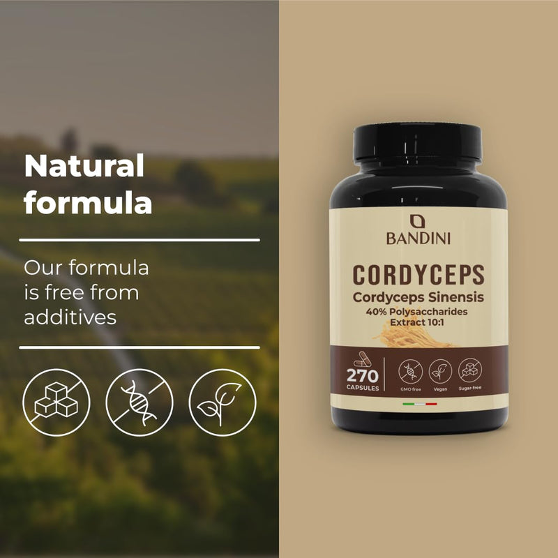 Bandini® Cordyceps Sinensis 19.500 mg | 270 High-Strength Vegan Capsules | Mushroom CS-4 Extract 10:1 with 40% Bioactive Polysaccharides | Energy, Performance, General Well-Being Support | Non-GMO