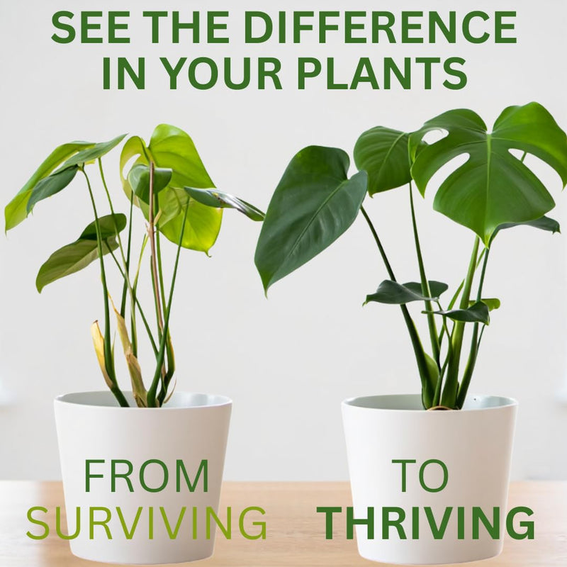 [Australia] - Silica Strength Plant Supplement ‚Äì Strengthens Stems, Supports Upright Leaves & Improves Stress Resilience | Ready-to-Use 4.5% Liquid Concentrate for Houseplants | 8 oz | Makes 96 Gallons 