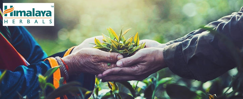 [Australia] - Himalaya - Cystone tablets | Ayurvedic support for urinary tract infections and kidney stones - 100 tablets 