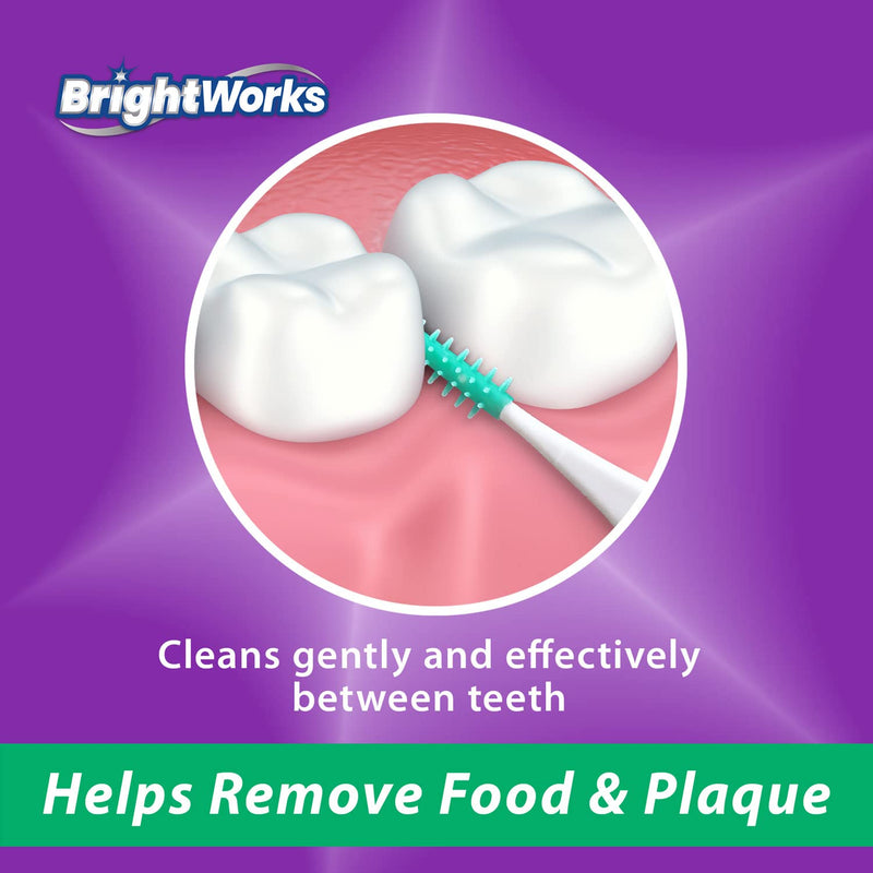 [Australia] - BrightWorks Mint Dental Picks, with Extra Soft Rubber Bristles and Flexible Tip, Clean Gently and Effectively Between Teeth, Travel Case Included, 3 Packs (64 Per Pack) [192 Total Picks] 