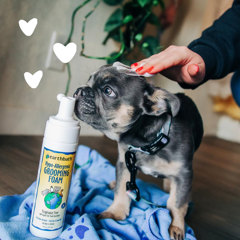 earthbath, All Natural Hypo-Allergenic Dog Grooming Foam - Fragrance Free Dog Shampoo for Allergies and Itching, Cruelty Free, No Water Needed, Rub On & Towel Off, Made in USA, Dog Supplies - 8 Oz Pack of 1 Hypo-Allergenic and Fragrence Free - PawsPlanet Australia