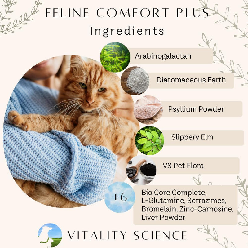 Feline Comfort Plus, Extra Drying Digestive Aid, GI Support Helps with Vomiting and Diarrhea, 100% Additive Free, 120g (Seafood, Small) Seafood - PawsPlanet Australia