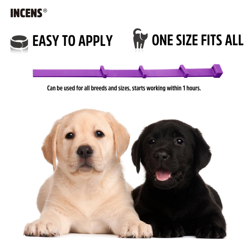 Calming Collar for Dogs, Designed to Alleviate Anxiety in Dogs, is Adjustable and Lasts for 45 Days. It is Suitable for Small and Large Dogs, and Comes in Purple - 1 Pcs - PawsPlanet Australia