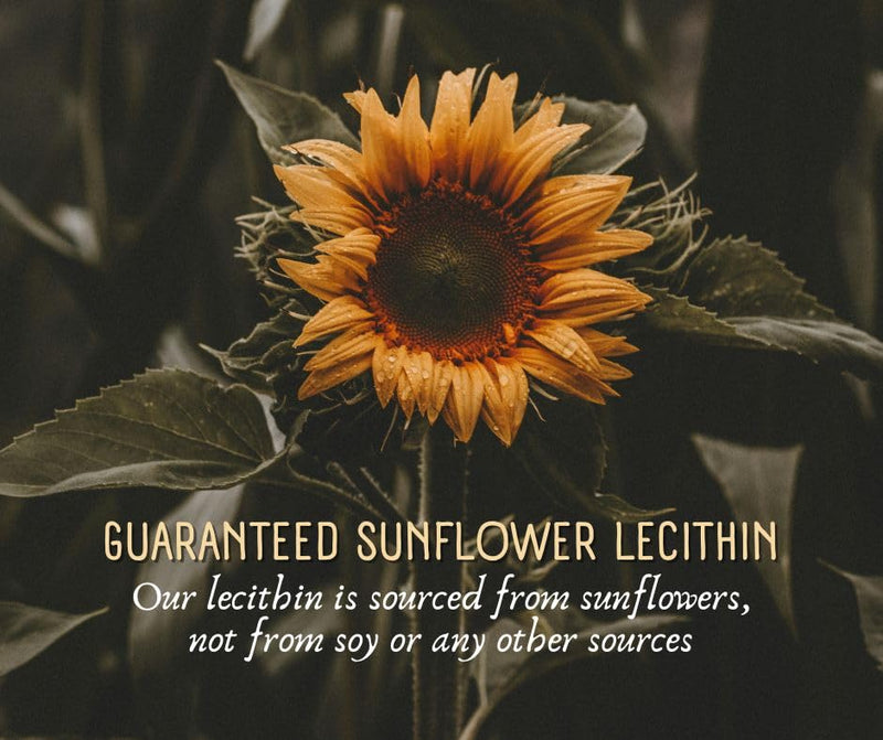 [Australia] - Milk Sunflower Lecithin Softgels - Natural Lactation Support & Duct Relief for Breastfeeding Moms - 1200mg, 100 Softgels - Unblock Clogs, Enhance Milk Flow, Rich in Fatty Acids & Choline 