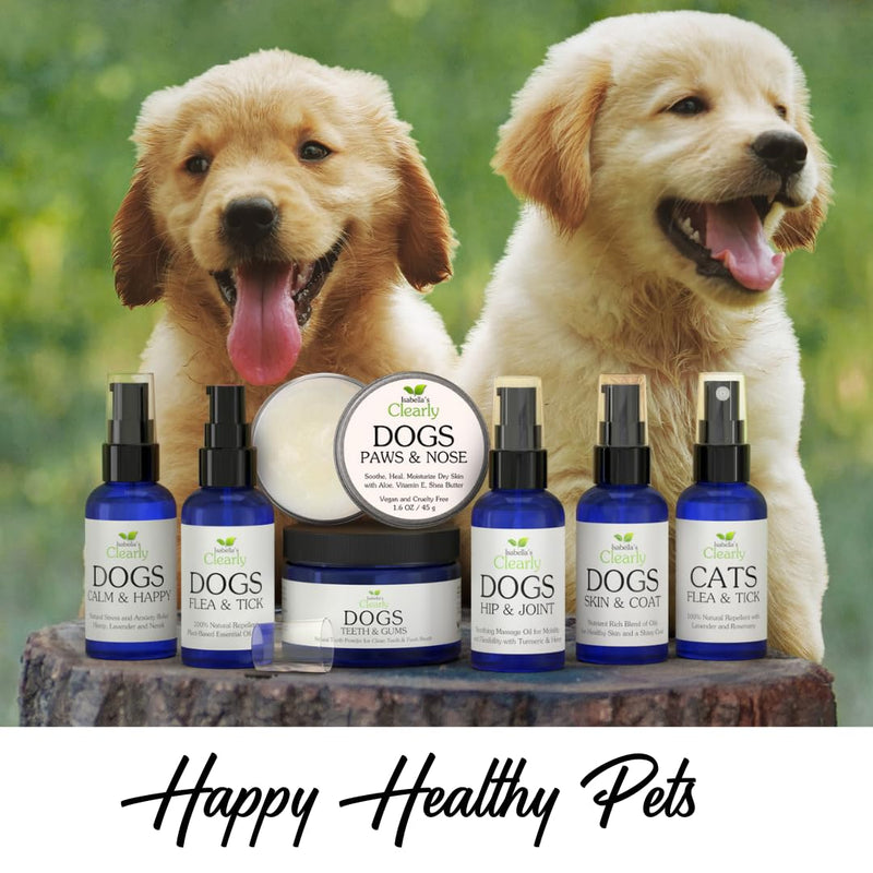 HIP & JOINT Massage Oil for Dogs with Flax Seed and Turmeric Oils | Pet Safe Essential Oils Support Mobility, Flexibility, Ease Tension and Discomfort - Vegan Pet Product Made in USA - PawsPlanet Australia