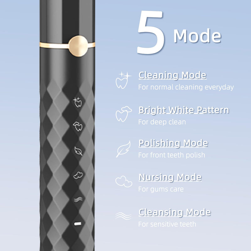 [Australia] - Electric Toothbrush Set, Equipped with 10 Brush Heads and Travel case, IPX8 Waterproof, 2-Minute Timer, 42000 high-Frequency Vibrations, 5 Modes, The First Choice for Gift Giving Black 