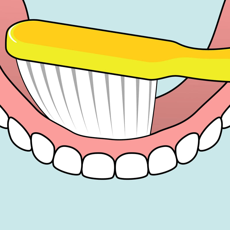 [Australia] - TePe Denture Care toothbrush, 1 piece, denture toothbrush with extra long and strong bristles for easy accessibility, easy cleaning of dentures 