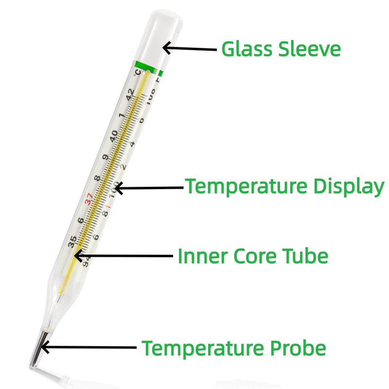 [Australia] - ℃&℉ Mercury Free Thermometer for Armpit 2PCS - Clinical Glass Thermometer for Fever -Classic Non Digital Thermometer for Adults - Accurate Easy Reading by HARIKA LIFE 