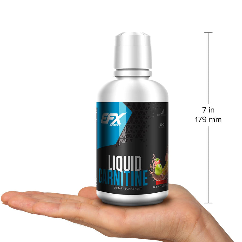 [Australia] - EFX Sports L-Carnitine Liquid 1500mg, Improve Performance and Strength, Vitamin B5 (31 Servings, Fruit Punch) 16 Fl Oz (Pack of 1) 
