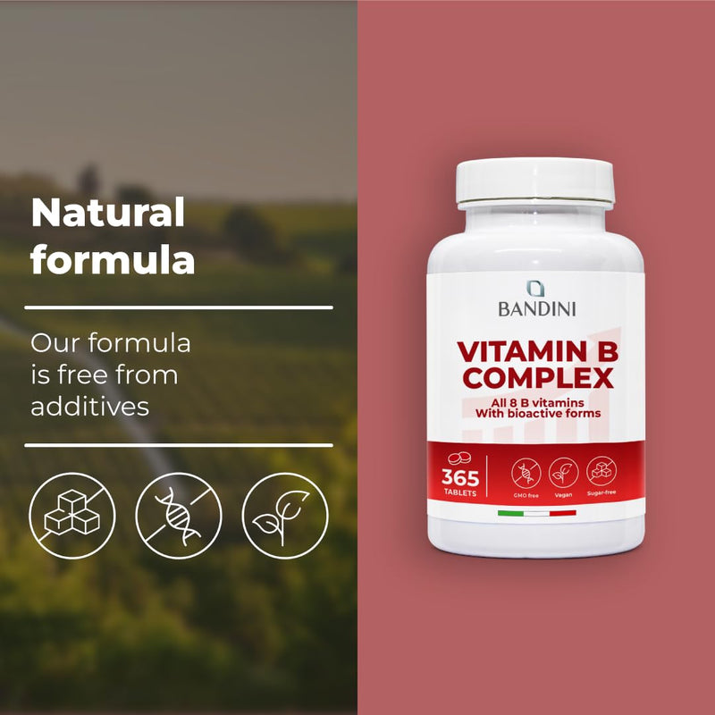 Bandini® Vitamin B Complex High Strength | 365 Vegan Tablets (1 Year Supply) | Blend of 8 B Vitamins with Folic Acid, Biotin, B1, B2, B3, B5, B6, B12 | Reduces Tiredness & Fatigue | Immune Support 365 count (Pack of 1)