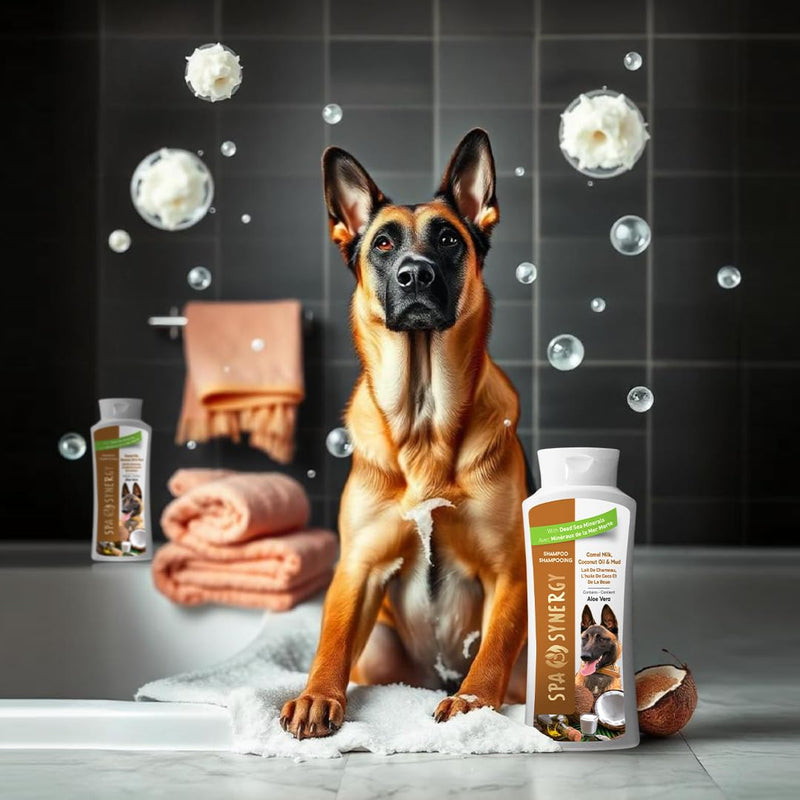 Pet Dog Shampoo Mud and Natural Dead Sea Mineral Rich, Aloe Vera & Vitamin-E, Soothing, Soften, Anti Dandruff, Cleansing- Camel Milk & Coconut Oil - (1) Bottle 16.5 FL OZ - PawsPlanet Australia