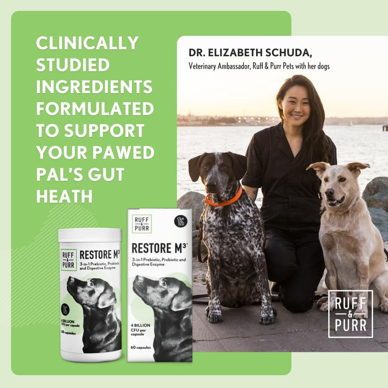 Ruff & Purr Probiotics for Dogs – Multi-Strain Probiotics and Prebiotics for Gut Health, Immune Support, Healthy Skin and Coat – Clinically Studied DE111 & PreforPro – 60 Easy to Give Capsules - PawsPlanet Australia