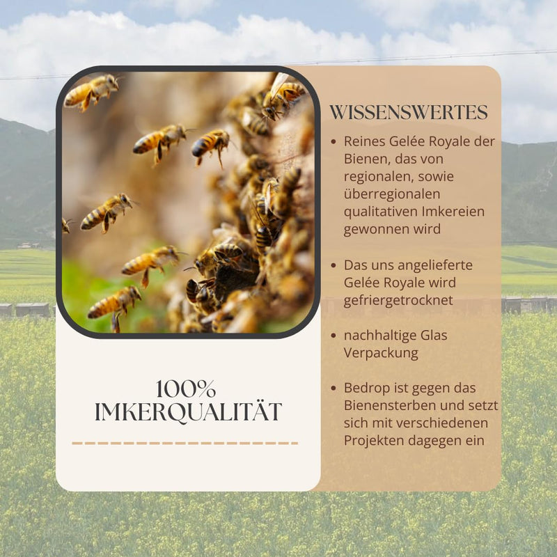 [Australia] - bedrop organic propolis capsules 800 mg per capsule, high dosage - 60 propolis extract capsules from organic beekeeping - rich in polyphenols and flavonoids - in sustainable glass packaging, 60 pieces (pack of 1) 
