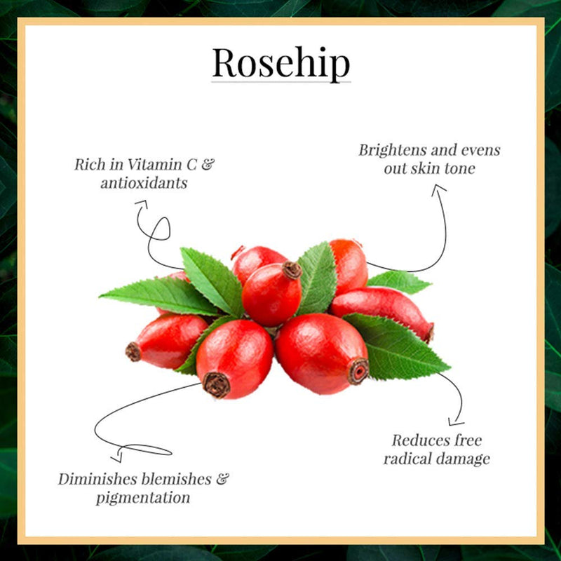Good Vibes Rosehip Face Serum | Radiant Glow Formula for Clear, Smooth Skin | Hydrating Anti-Aging Facial Serum with Vitamin A & C | No Parabens, No Sulphates | All Skin Types | 1.01 Fl Oz (30ml) 1.01 Fl Oz (Pack of 1)