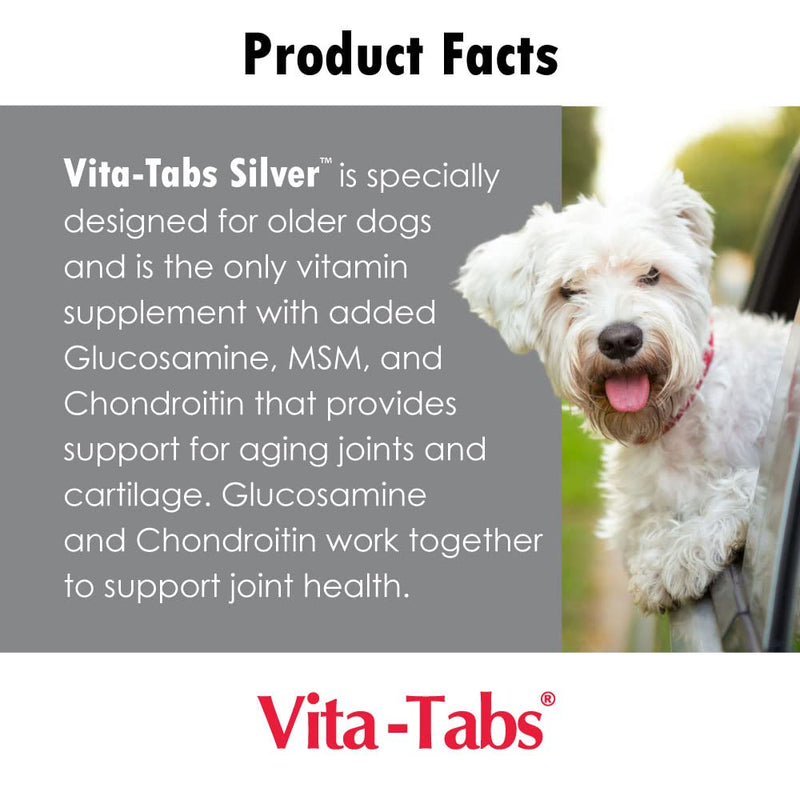 Vita-Tabs Silver - Vitamins, Minerals, Nutrients - Support for Senior Dog - Supplement for Healthy Bone, Joint, Energy, Immune System - 100 Chewable Tablets - PawsPlanet Australia