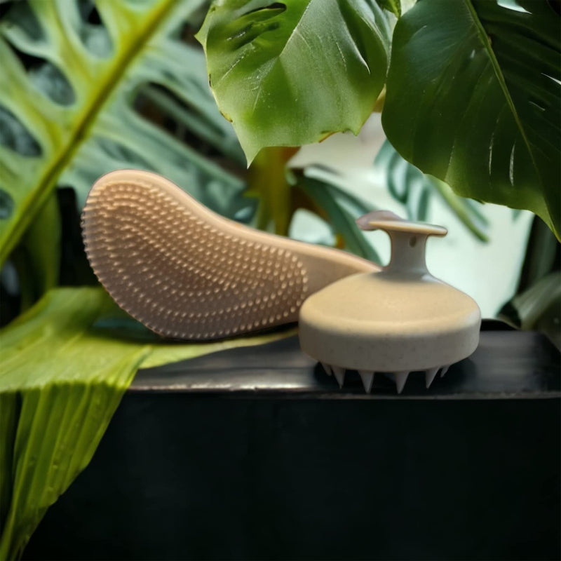 [Australia] - Eco-Friendly Detangler Brush w/Scalp Massager| Anit-Knot for Smooth & Frizz-Free Hair| Wet & Dry Scalp Exfoliator w/Soft Silicone Bristles| Dandruff Removal & Hair Growth (KHAKI) Khaki 