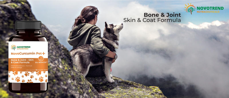 NovoCurcumin Pet+ BioBDMC30 Bone & Joint - Skin & Coat Formula - 90 Chewable Tablets - PawsPlanet Australia