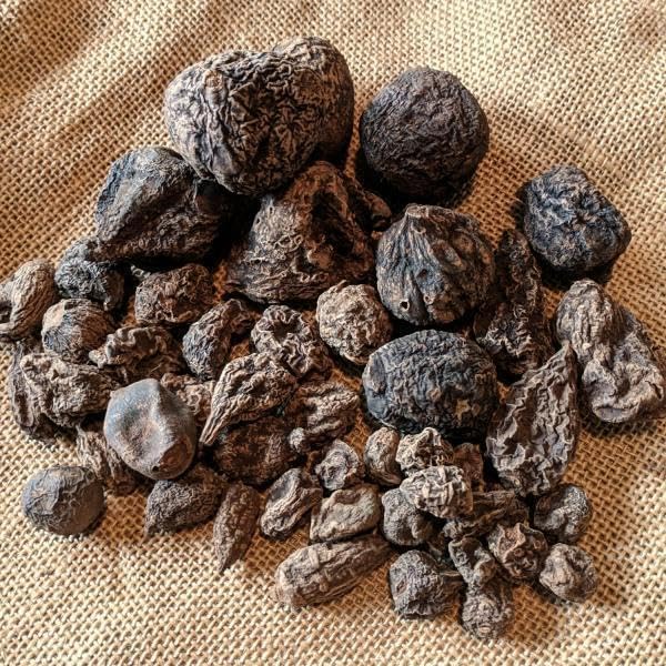 [Australia] - High John root | High John The Conqueror Root | Wicca Pagan Curio Magick | Ipomoea Jalapa | Organic Harvested | Carry For Luck | 1 ounces/oz 
