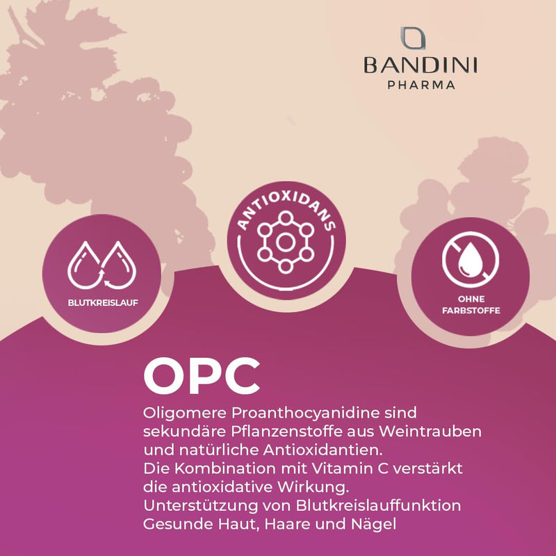 [Australia] - Bandini® grape seed extract 365 capsules 1076mg per dose | Highest OPC content according to HPLC | 95% pure grape seed extract from Italian grapes | 1052mg extract with 999.4mg OPC + 24mg vitamin C 