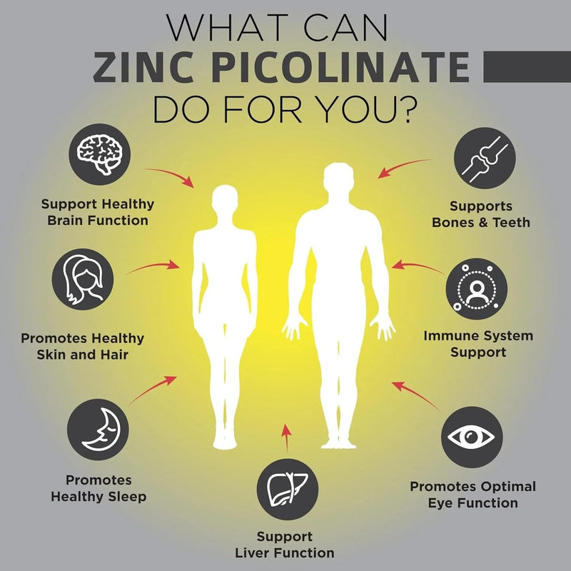 ECO-VITS Zinc Picolinate 50mg 240 Capsules, Immune System Health, Skin, Hair & Nails, Cognitive Function, Wound Healing & Tissue Repair