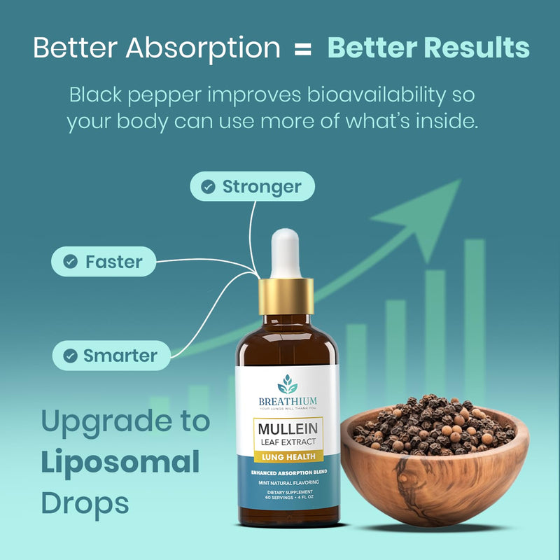 [Australia] - 4-in-1 Mullein Drops for Lungs & Gut Health ‚Äì Liposomal Mullein Leaf Extract, Sunflower Lecithin & Choline for Immune, Digestive, Allergy & Mucus Relief ‚Äì Made in USA ‚Äì 4oz Peppermint 4 Fl Oz (60 Servings) 