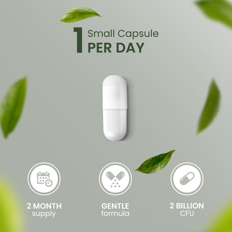 Advanced Probiotics for Gut Health | Expert Formulated Acidophilus Probiotic Gut Health Supplements, Bloating Relief | 60 Specialised Capsules with Bacterial Cultures, 150 Billion CFU/g | Made in UK