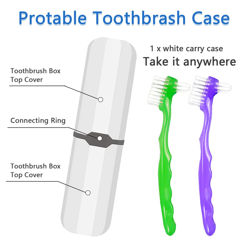 [Australia] - 2-Piece Denture Cleaning Brush Set - Multi-Layered Bristles False Toothbrush with Ergonomic Handle and White Carrying Case for Fake Teeth Cleaning, Travel-Sized Oral Care Tool (Green&Purple, One Size) Green&purple 