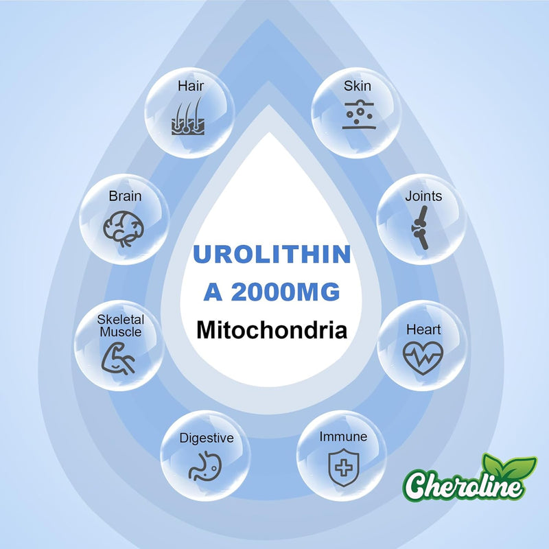 Urolithin A Supplement 2000mg