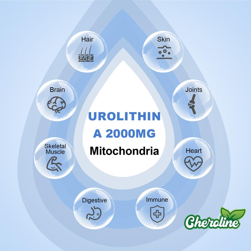 Urolithin A Supplement 2000mg - 120 Softgels 60-Day Supply - Enhanced with Pomegranate, Strawberry, and Walnut Extracts - for Mitochondria & Energy (120 Count (Pack of 1)) 120 count (Pack of 1)