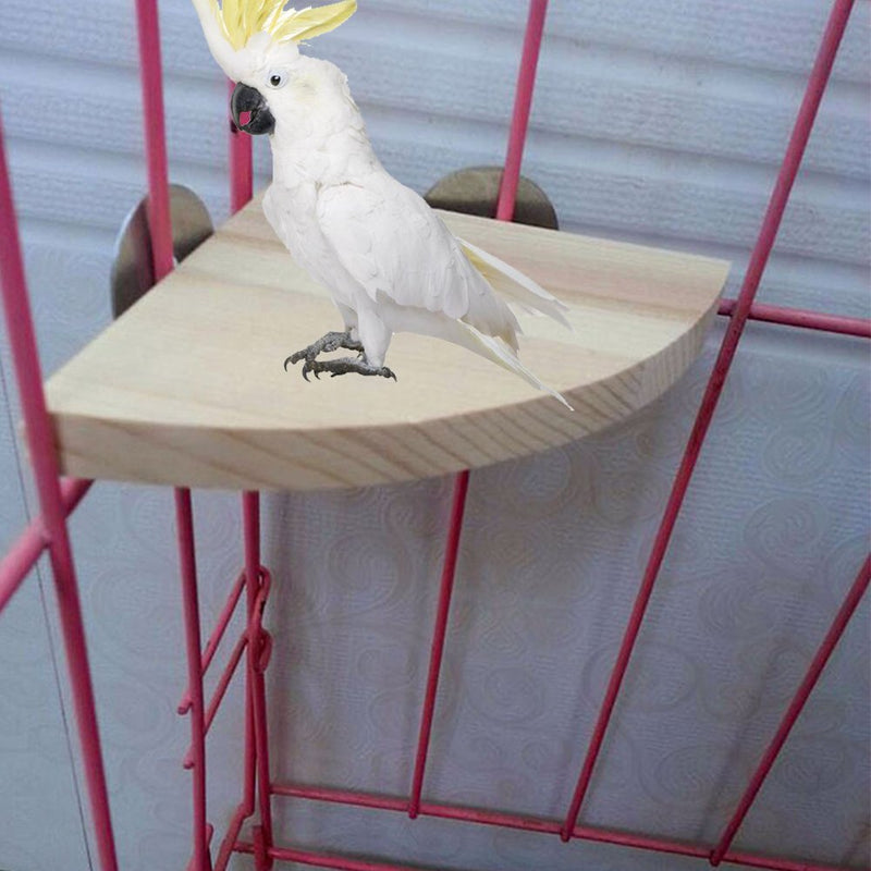 Fdit Bird Wooden Stand Fan Shaped Design for Parrot Cockatiel Parakeet - PawsPlanet Australia