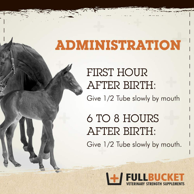 Equine Foal Kickstart Paste – Ideal for Newborn Foals on Day 1 to Support Healthy Immune & Digestive System Health, 1 Tube - PawsPlanet Australia