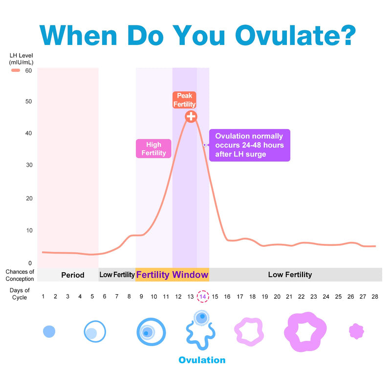 Easy@Home Ovulation Test Strips, 25 Pack Fertility Tests | Ovulation Predictor Kit, Powered by Premom Ovulation Predictor iOS and Android App, 25 LH Strips 25 Count (Pack of 1)