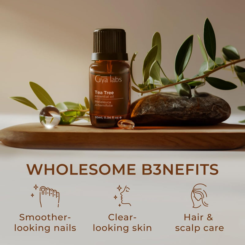 [Australia] - Gya Labs Australian Tea Tree Oil for Skin, Hair, Face & Toenails - 100% Natural Melaleuca Oil Tea Tree Essential Oil for Piercings, Scalp, Hair & Candle Making - 100% Pure Oils (0.34 fl oz) Tea Tree (Supreme) 0.34 Fl Oz (Pack of 1) 