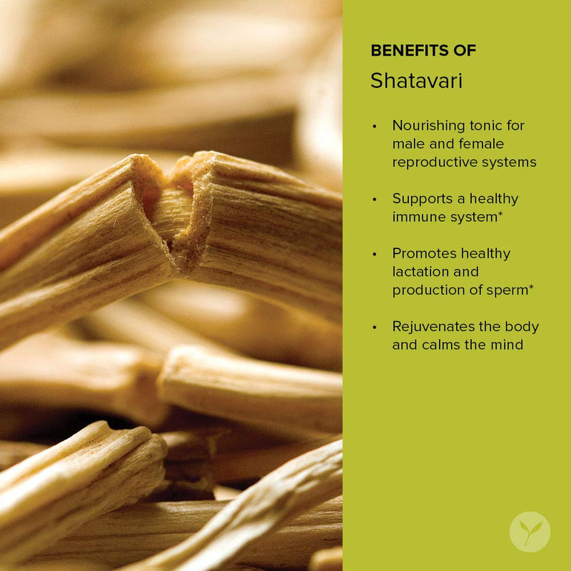 [Australia] - Banyan Botanicals Organic Shatavari Powder – Asparagus racemosus – Ayurvedic Herb for Vata & Pitta, Balanced Female Hormones, Energy, Vitality & More* – 1/2lb. ­– Non-GMO Sustainably Sourced Vegan FFL 8 Ounce (Pack of 1) 