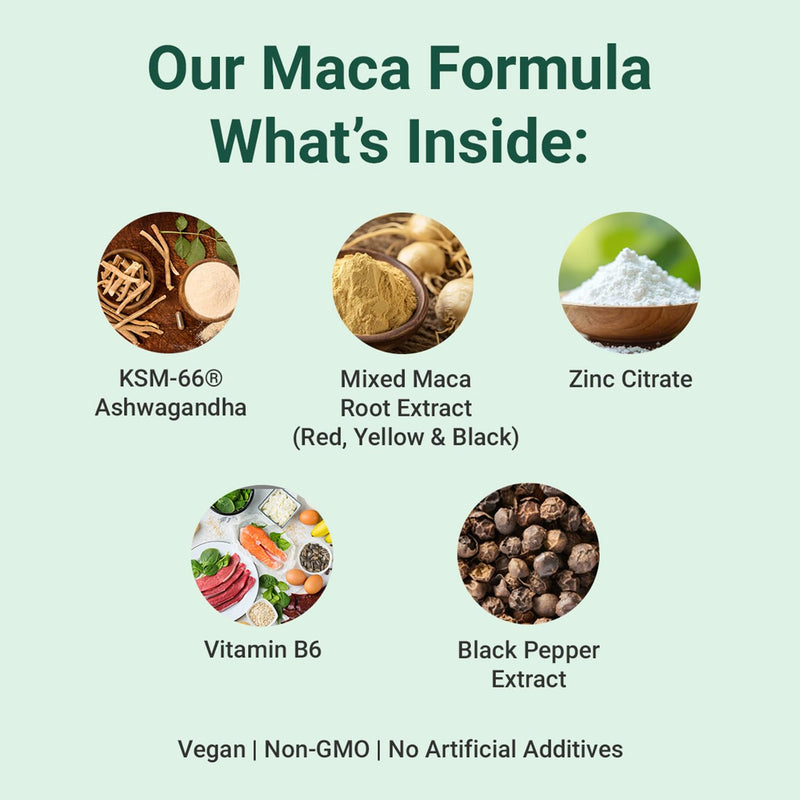 Theonia Maca Root Extract 20:1-500mg Per Serving – for Men & Women – Tri-Color Black/Red/Yellow Blend – 60 Vegan, Non-GMO Capsules