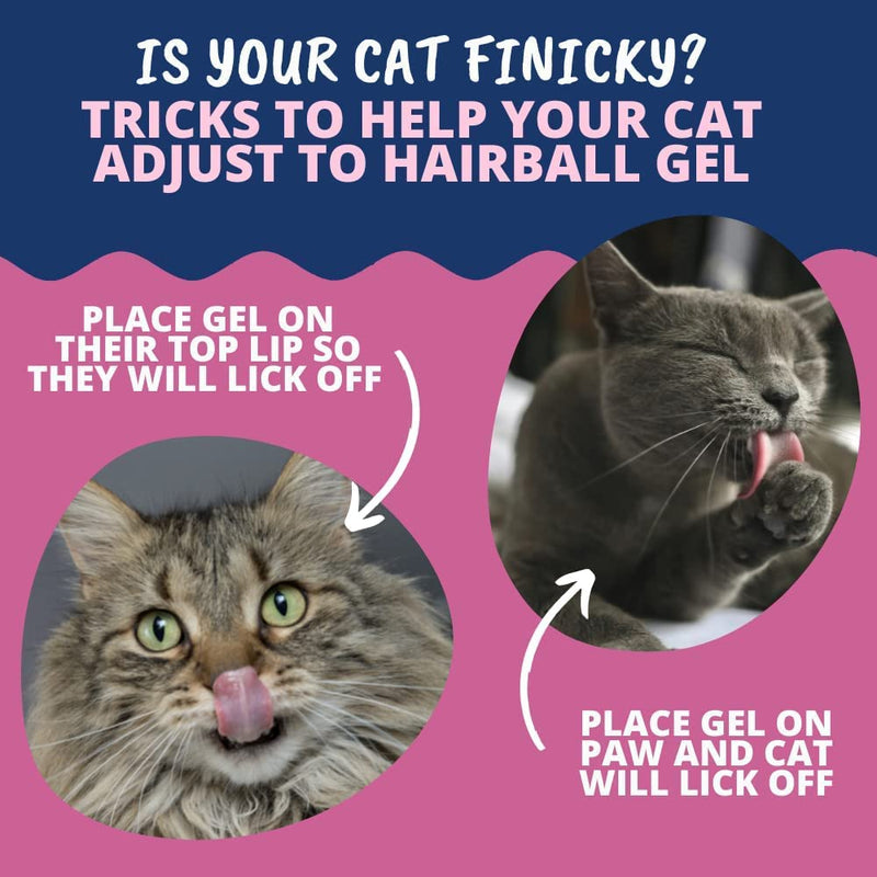 Under the Weather Hairball Supplement | Vet Formulated Hairball Remedy for Cats | Supports and Aids Normal & Natural Elimination of Hairballs in Adult Cats (Gel) Hairball Gel 3.5 Oz - PawsPlanet Australia