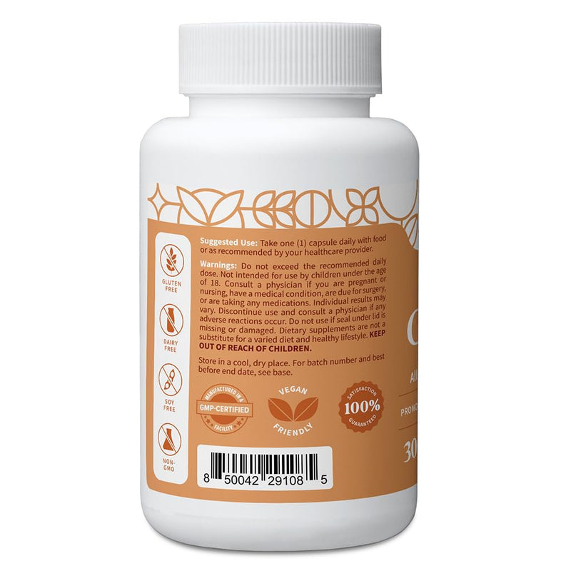 Pattern Wellness Zinc Complex Supplement – 30 Vegan Capsules | Supports Immune, Skin & Digestive Health – High Absorption Zinc with Vitamin C, Probiotics & Natural Blends 30 Count (Pack of 1)